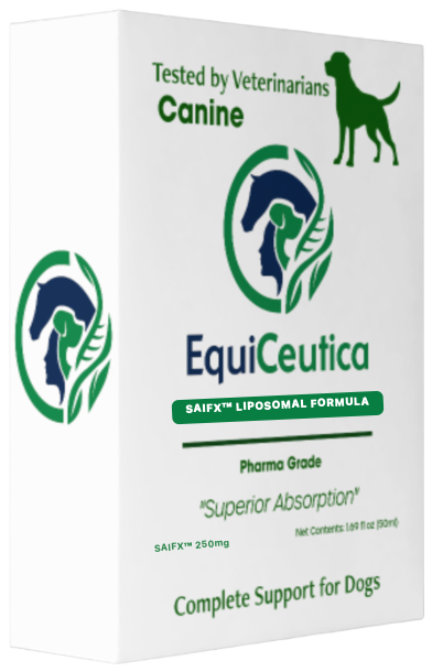 Canine Liposomal Mobility & Calm Formula